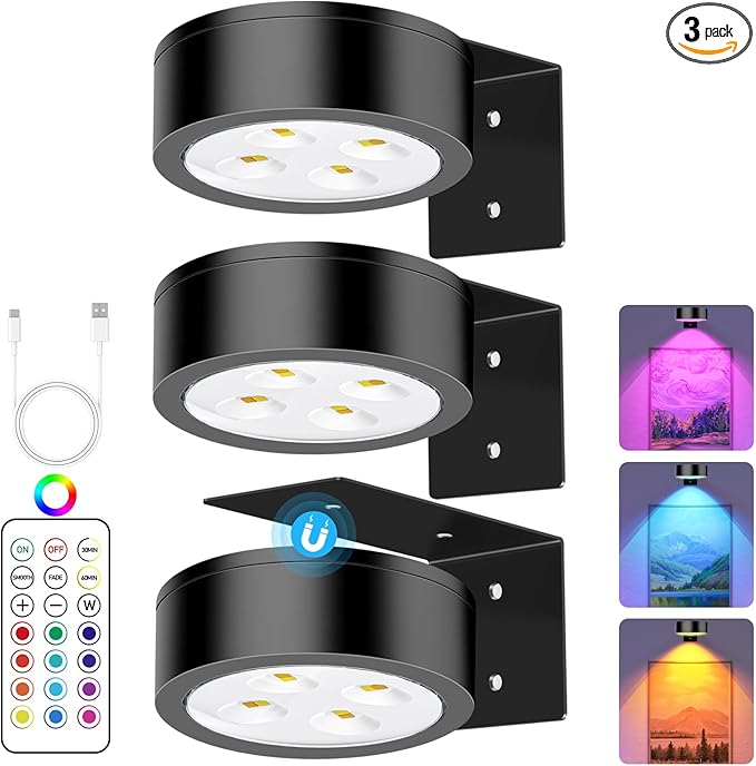 13 RGB Color Changing Led Art Display Light for Picture Frame,Rechargeable Battery Operated Led Painting Light with Remote Control Dimmable & Timer,3Pack Black