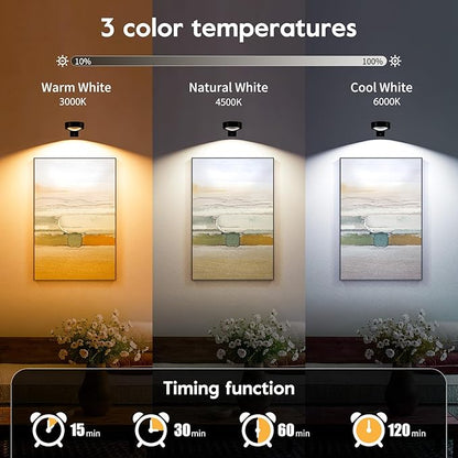 Brightown 2-Pack Picture Lights for Wall, Magnetic Art Display Picture Lights with Remote, 3 Lighting Modes Battery Operated Picture Light, Dimmable & Timer Art Wall Lights for Pictures, Black