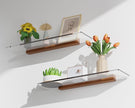 Acrylic Floating Shelves with Solid Wood Base, Wall Mounted Shelf for Plants, Perfume, Nail Polish, Bathroom, Bedroom & Living Room Décor