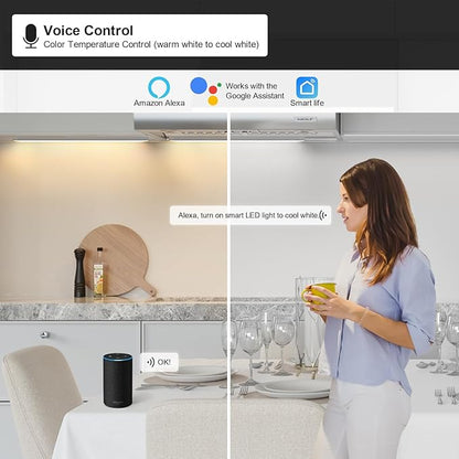 2pack 20inch Dimmable LED Under Cabinet Light Kit, 2700K to 6000K Smart LED Under Counter Lighting Fixture, Compatible with Alexa, Google Assistant, for Kitchen, Pantry, Shelf (Gold)