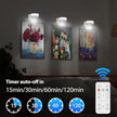 3Pcs Battery Picture Lights, Remote Painting Light for Art Disaplay,Magnetic Wall Picture Light Up/Down Light,Dimmable & Timer, 200LM 3 Lighting for Gallery Dartboard Frame Pictures