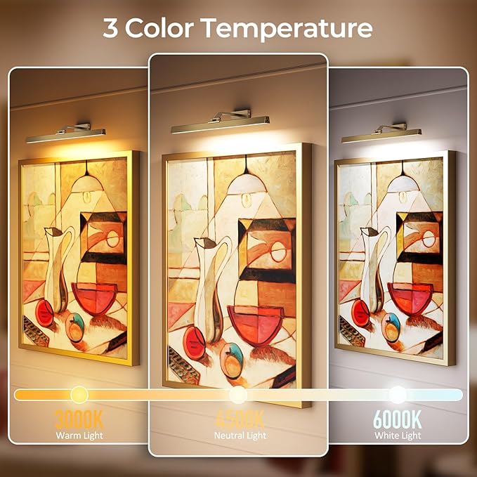 Picture Lights for Wall, Brass Battery Operated Picture Light 24in Art Light CCT Dimmable Recharging Battery Wall Light with Remote Control for Living Room Gallery