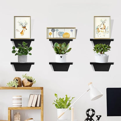 PHOENANCEE Small Floating Shelves,Speaker Shelf,Trapezoid Wall Shelf for Table Lamp Plants Display,Decorative Wood Ledges Chic for Living Room,Bedroom,Kitchen,Office,Pine,8x6 Inch,4 Pack(Black)