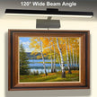 Picture Light for Paintings Plug in, 16