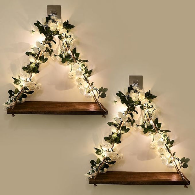 Floating Shelves for Wall,Plant Wall Decor,Hanging Shelf,Cottage Core Decor,Room Decor Aesthetic,Trinket Shelf,Hanging Shelves,Floating Shelves for No Drilling,Two-Piece Set