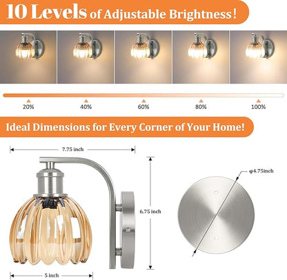 VerRon Rechargeable Battery Operated Wall Sconce with Amber Glass Lampshade, Wireless Wall Scone Decor with Remote Control, 15 Colors Brushed Nickle Wall Light for Bedside Hallway Bedroom Doorway
