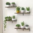Marsmiles Extra Wide Floating Shelves for Wall, 48x8 Inch Natural Wood Grain Bookshelves, Heavy Duty Mounted Shelving for Bathroom, Kitchen, Living Room, Bedroom,Set of 2，Walnut