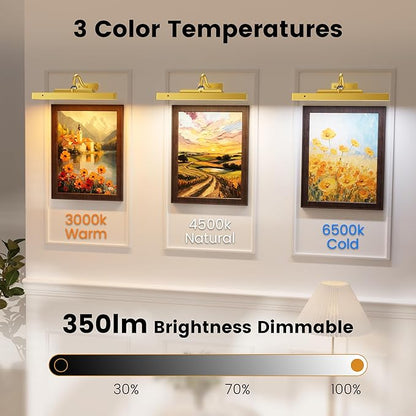 Picture Frame Light, 12" Rechargeable Wireless Battery Powered Lighting, Dimmable LED with Remote 3CCT for Wall Art Gallery Display (Gold)