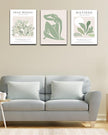 Matisse Sage Green Framed Wall Art,Abstract Green Canvas Wall Decor.12x16in Plants Botanical Poster Prints,Minimalist Classic Home Decoration for Living Room Bedroom Bathroom Office,Set of 3
