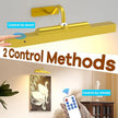 Wireless Picture Light Gold,Battery Operated Art Lighting LED,Cordless Remote Dimmable Magnetic Lighting for Living Room Bedroom(12 in, 2 Pack)