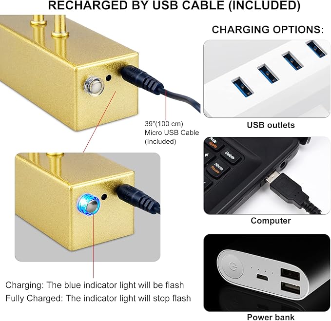 Picture Light,Picture Lights for Wall Cordless,13" Picture Lights with Timer and Dimmable,Battery Wall Lights for Display Gallery Painting Art Frame Portrait-Gold