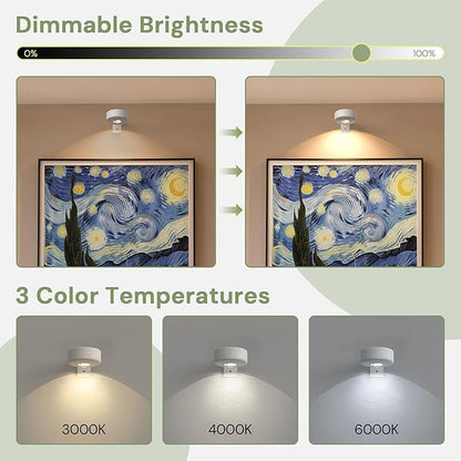 L LOHAS LED White Wireless Picture Lights for Wall, 3 Pack Magnetic Rechargeable AAA Battery Operated Picture Light with Remote & Timer, Dimmable 3CCT Art Light for Paintings, Frames, Gallery