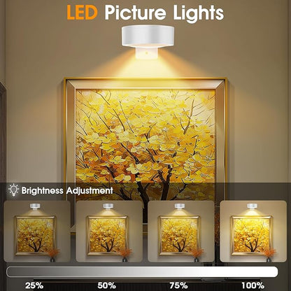 13 RGB Color Changing Led Art Display Light for Picture Frame,Rechargeable Battery Operated Led Painting Light with Remote Control Dimmable & Timer,3Pack White