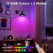 Lightess Black Battery Operated Wall Sconces Set of Two, Vintage Wireless Wall Lights with Rechargeable 12 Colors Bulbs, Dimmable Cordless Gooseneck Wall Decor Lamps with Remote Control