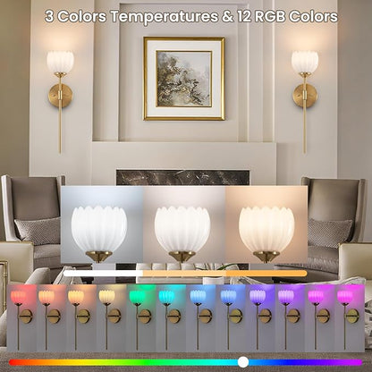 Vintage Battery Operated Wall Sconce Set of 2, Wall Lights with RGB Dimmable Bulbs and Remote,Rechargeable LED Wireless Wall Lamps for Living Room Hallway Bedroom