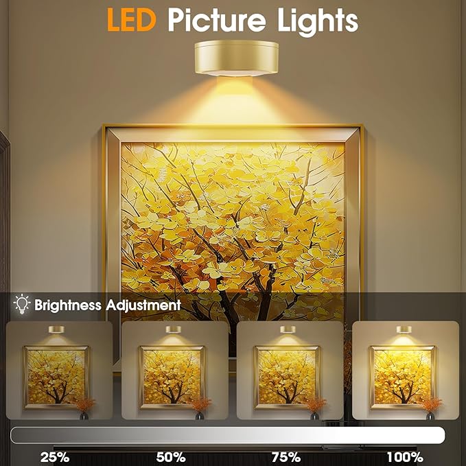 13 RGB Color Changing Led Art Display Light for Picture Frame,Rechargeable Battery Operated Led Painting Light with Remote Control Dimmable & Timer,3Pack Gold