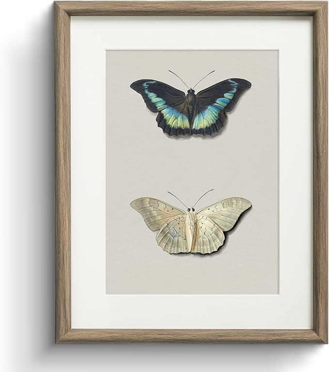 InSimSea Framed Canvas Wall Art, Retro Butterfly Floral Art Prints, Rustic Neutral Decor for Living Room Bedroom Dorm Hallway Bathroom, Vintage Farmhouse Cottage Decor Aesthetic, 11x14 Inch