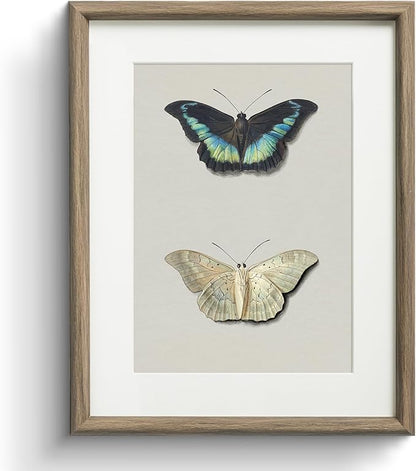 InSimSea Framed Canvas Wall Art, Retro Butterfly Floral Art Prints, Rustic Neutral Decor for Living Room Bedroom Dorm Hallway Bathroom, Vintage Farmhouse Cottage Decor Aesthetic, 11x14 Inch
