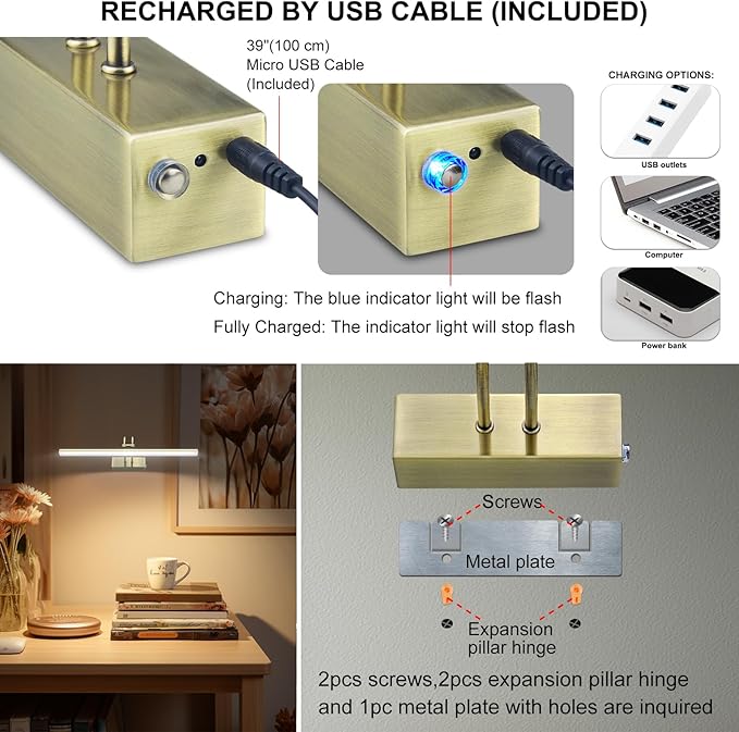 Picture Light,Picture Lights for Wall Cordless,16" Picture Lights with Timer and Dimmable,Battery Wall Lights for Display Gallery Painting Art Frame Portrait-AB 2Colors