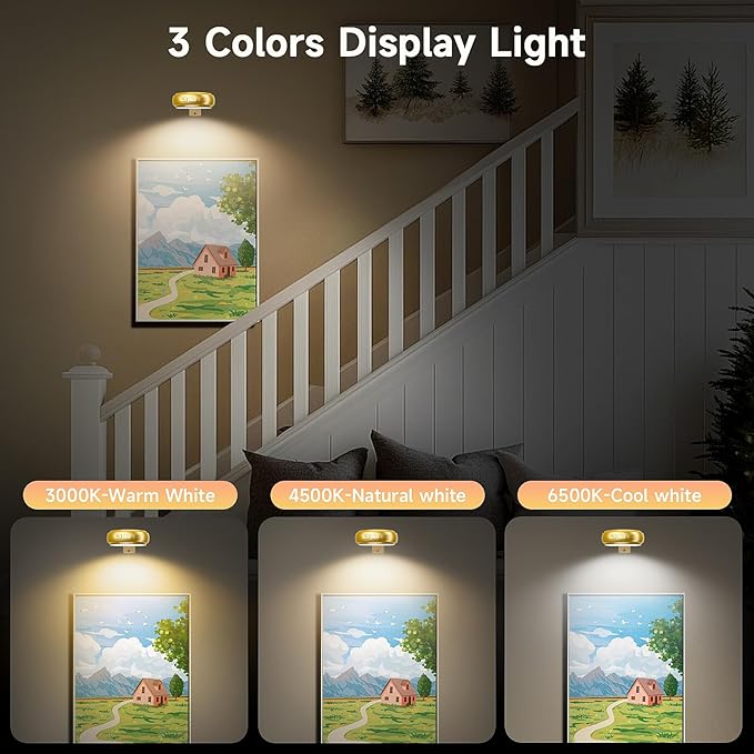 3 Pack Picture Light for Wall with 1200mAh Rechargeable Battery Operated Lights Remote Dimmable Timer Painting Light Magnetic 3 Adjustable Lighting RGB Modes Wall Decor Lights for Living(Gold)