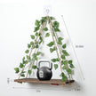 EXIN DECHEN Floating Shelves for Wall No Drilling,Wall Shelves,Hanging Shelf,Leaves and Light Strip with Flower,Set of 2 Plant Decor for Home Livingroom Bedroom,Led Room Decor Aesthetic,Gift