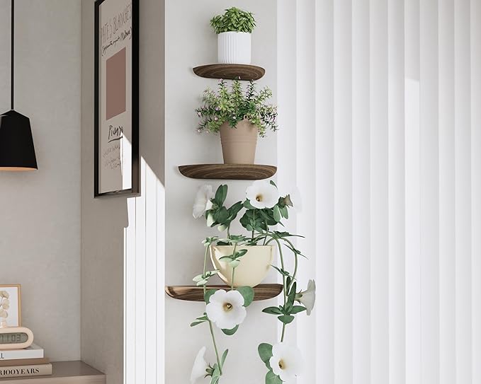 Solid Wood Half Round Floating Wall Shelves | Elegant Floating Shelves, Elevate Your Space. Perfect for Living Rooms, Bathrooms, Bedrooms, Offices, Children's Rooms Brown