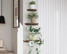 Solid Wood Half Round Floating Wall Shelves | Elegant Floating Shelves, Elevate Your Space. Perfect for Living Rooms, Bathrooms, Bedrooms, Offices, Children's Rooms Brown