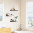 Floating Shelves Set of 3, Black Wood Wall Mounted Shelf 16