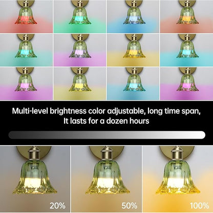 GEEZO Vintage Battery Operated Wall Sconce, with Rechargeable Battery Powered Wall Light with Remote Control for Bedside Bedroom