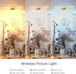Picture Light,13.5