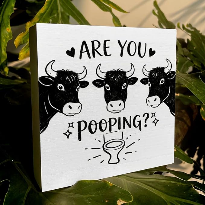Funny Rustic Bathroom Wooden Box Sign 5x5 Inch - 