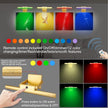 LUXSWAY Picture Lights with Rechargeable,Painting Light with Remote,12 Colors Changing Artwork Light with Swivel Light Head,10000mAh Display Light for Dart Board Poster Art Gallery