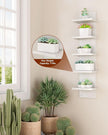 IBUYKE 5-Tier Modern Wall-Mounted Shelf, White Vertical Shelf, Floating Storage, Organizer, Tall Tower Design, Decorative Wall Mount Shelving for Home, Bedroom, Living Room, Office Decor WBC009W-2