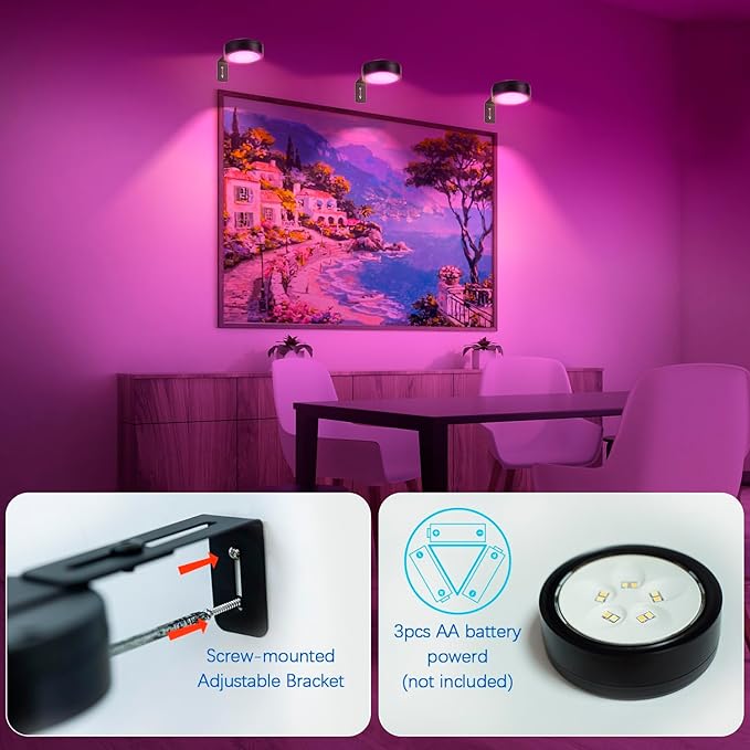 2 Pack Black Picture Lights for Wall Battery Operated, 12 RGB Color Changing LED Wall Art Light, Magnetic Painting Light with Remote Control, Art Gallery Lights Photo Sconce for Art Display