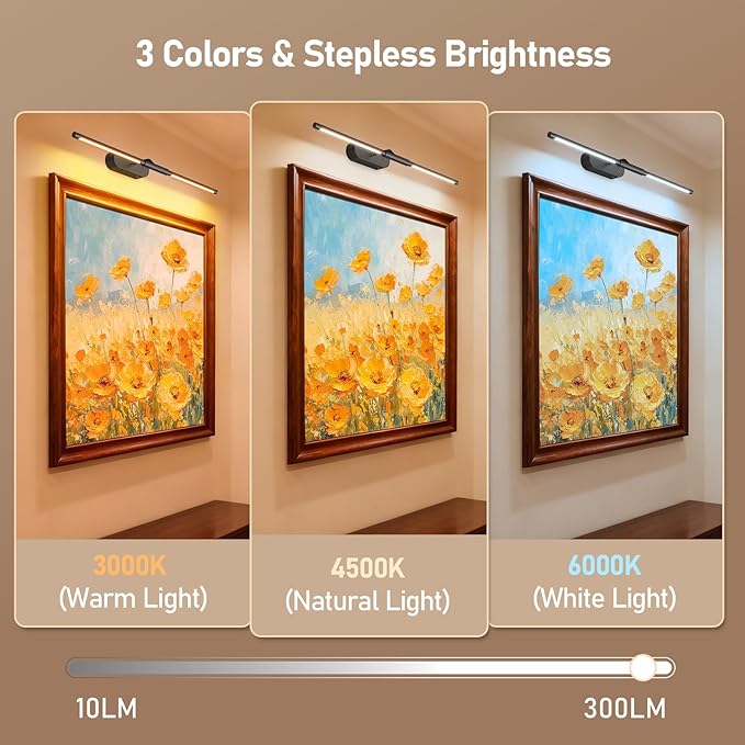 Glendan Wireless Picture Light for Wall: 24