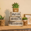 4 Pcs Inspirational Farmhouse Table Decor Growth Looks Different for Everyone Rustic Stacked Wooden Block Signs with Inspirational Quote Artificial Succulent for Home, Office, Shelf Gift