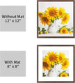puthiac 12x12 Solid Oak Wood Picture Frame, Fits 8x8 with Mat or 12x12 Without Mat, Wall Display Only, Plexi Front, 3 Pack, Walnut