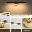 Picture Light Dimmable Hard Wired 23.62 Inch Adjustable Swing Arm Brass Wall Lights for Pictures Led Display Light for Artwork 14W Warm White