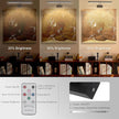 Picture Light, 13.5