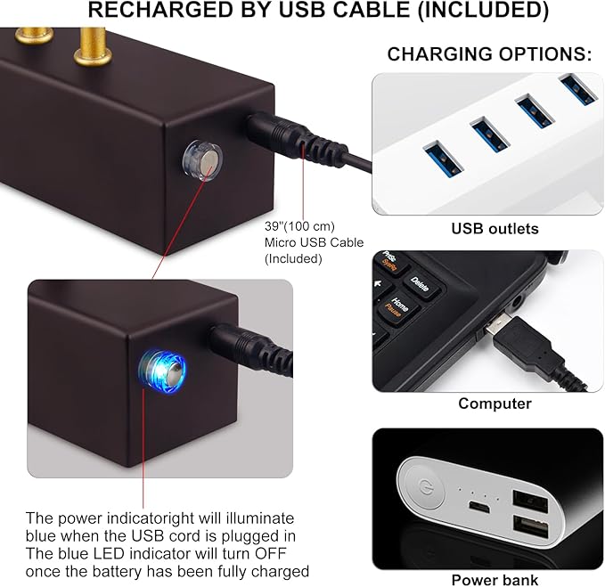Picture Light,5000mAh Rechargeabl Art Lights for Paintings,Remote 16" Display Accent Lighting with Timer and Dimmable for Wall,Frame,Portrait-Black