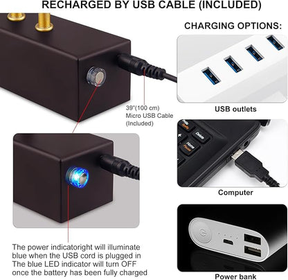 Picture Light,5000mAh Rechargeabl Art Lights for Paintings,Remote 16" Display Accent Lighting with Timer and Dimmable for Wall,Frame,Portrait-Black