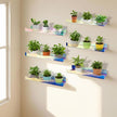4Pack Acrylic Wall Shelf Organizers 15Inch Floating Shelf for Wall Decor Bookshelf for Kids Modern Iridescent Wall Mount Shelf (4, Iridescent)