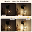 N01 Plug in Dimmable Wall Sconces Hanging Boho Rattan Wall Lamp Farmhouse Stepless Wall Sconce Woven Wall Lamp Hardwired Wall Lights for Living Room Bedroom Bedside Hallway (Bulb Included)