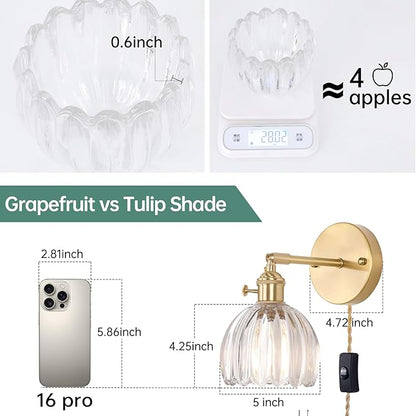Plug in Wall Sconce, Transparent Tulip Glass Lampshade Wall Light Plugin Corded for Bedside Bedroom Doorway, 2 Pack
