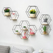 Hexagon Floating Wood Book Shelves, Iron Storage Holder Wall-Mounted Multifunctional Nordic Style Geometric Firm Hexagonal Shelf for Home Bedroom Bathroom Black L1