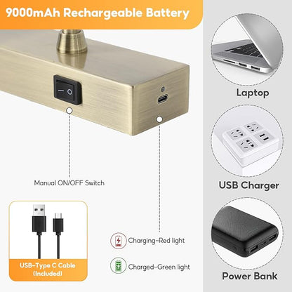 Picture Light for Wall Battery Operated, 20" Rechargeable Art Light with Remote and Timer for Painting, 9000mAh Wireless Wall Light for Display, Artwork, Portrait, Gallery, Bronze