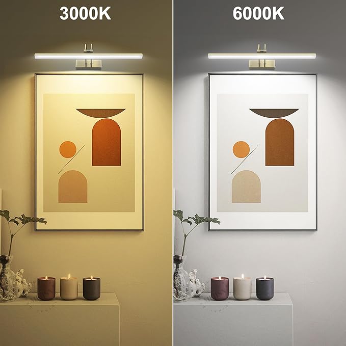 Picture Light,Picture Lights for Wall Cordless,16" Picture Lights with Timer and Dimmable,Battery Wall Lights for Display Gallery Painting Art Frame Portrait-AB 2Colors