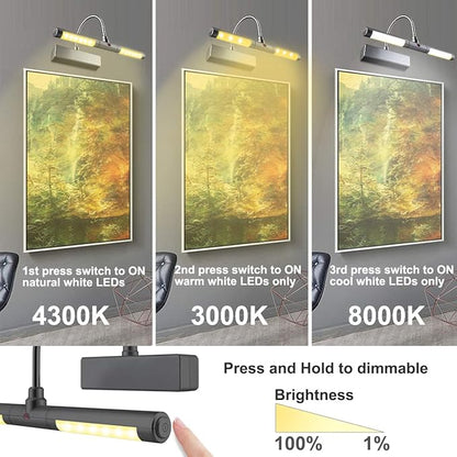 LUXSWAY Picture Light Battery Powered, Wireless Painting Lights with Remote, 3 Modes Brightness Art Display Lighta, 8.9 Inch Rotatable Light Head and Timer Off for Painting Poster Portrait -Small
