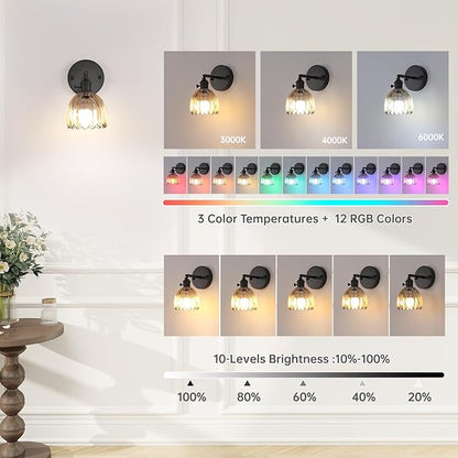 Vintage Battery Operated Wall Sconce with Amber Tulip Glass Lampshade Rechargeable Battery Powered Black Wall Light with Remote Control for Bedside Bedroom Doorway, Set of 2