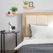 Small Floating Plant Shelves Set of 2 - Rustic Wood Half Circle Shelves for Bedroom Living Room Bathroom Kitchen Office (Natural)